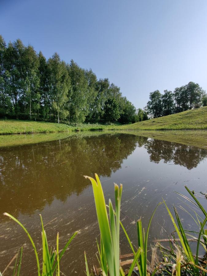 Вилла Zalioji Padustis Экстерьер фото